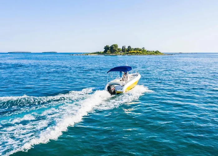 Gostinjska kuća Apartments Percan With Pool