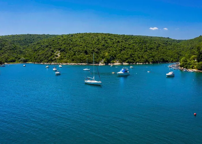Gostinjska kuća Apartments Percan With Pool