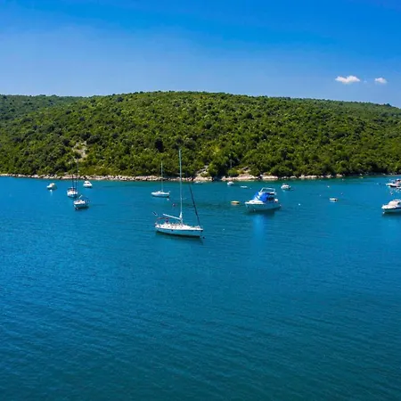 Guest house Apartments Percan With Pool